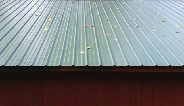 Folhas caídas no telhado