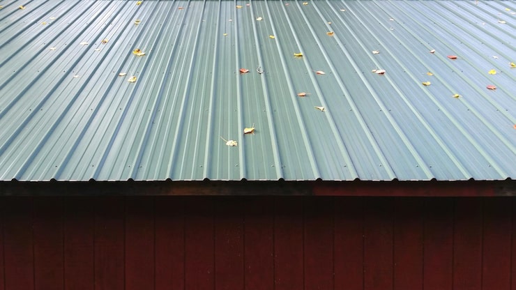 Folhas caídas no telhado